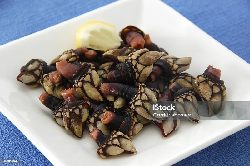 Percebes