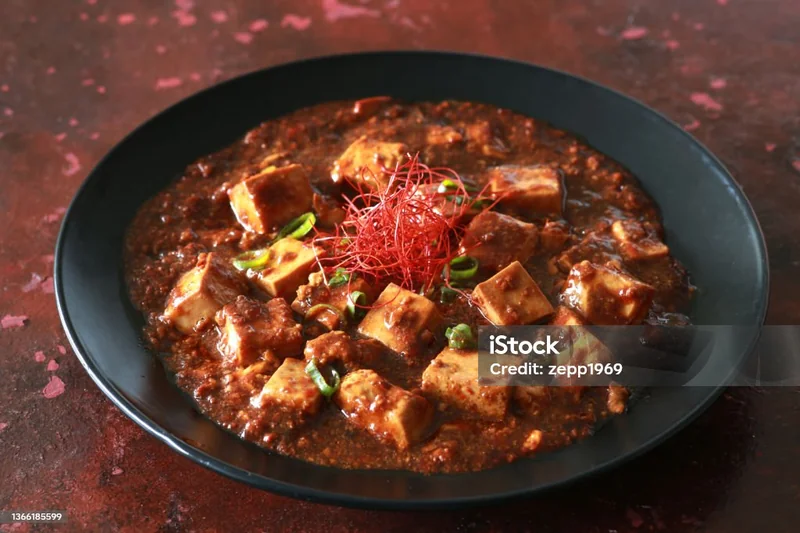 Mapo Tofu